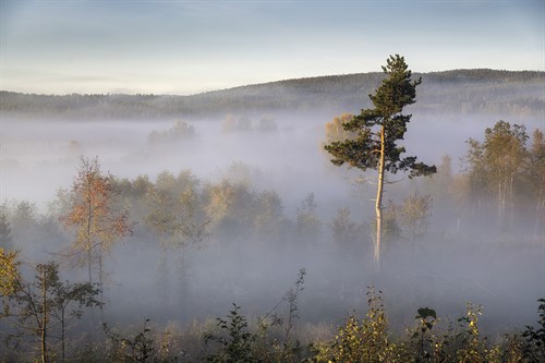 Up Above - Andreas Stridsberg