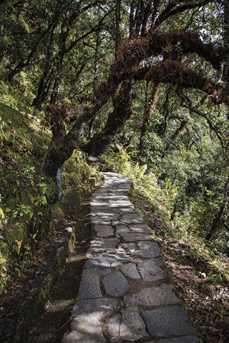 Contemplation Path - Andrew Geiger