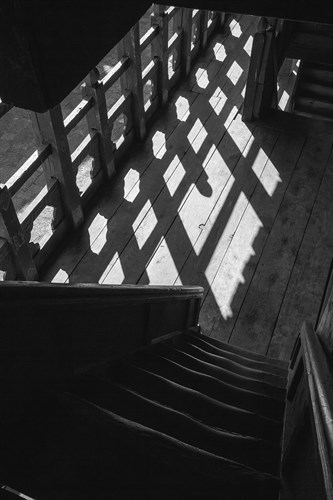 Shadow Light - Andrew Geiger