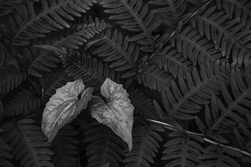 Leaf Nook - Andrew Geiger