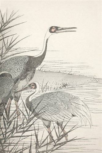 Vintage Study - Together - Imao Keinen