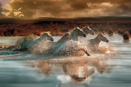 Camargue Water Run - Spatter - Bobbie Goodrich
