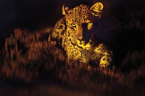 Night Stalker - Bobbie Goodrich
