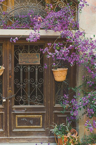 Under the Bougainvillea - Florian Schleinig
