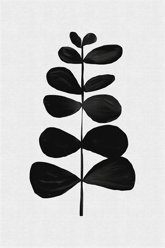 Simple Botanical - Shoot - Dana Shek