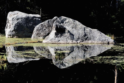 Floating Reflection - Mike Toy