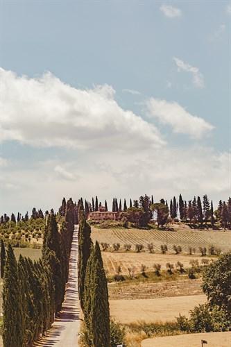 Tuscan View - Florian Schleinig