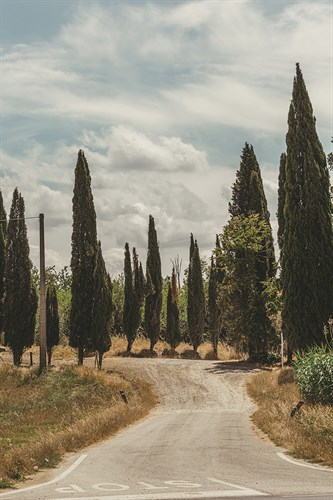 Tuscan Path - Florian Schleinig