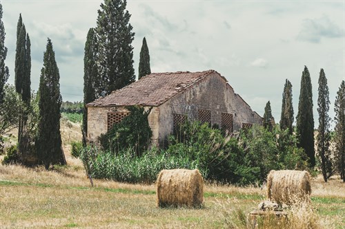 Rural Shelter - Florian Schleinig