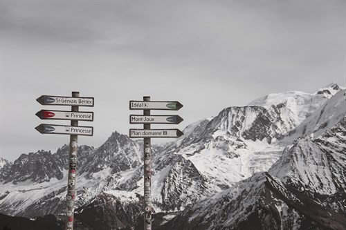 A Path to Choose - Carina Okula
