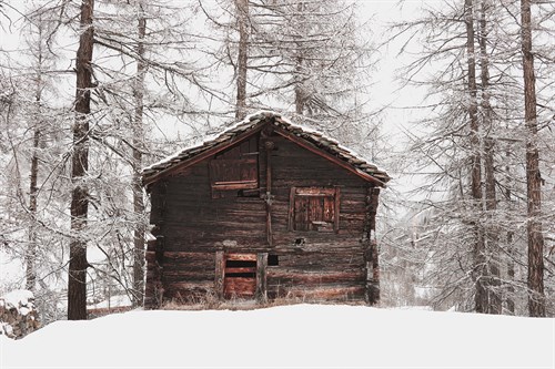 Frozen Shelter - Carina Okula