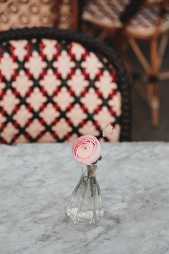 City Travel - Floral - Carina Okula