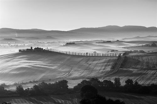 Noir Vista - Roam - Joseph Eta