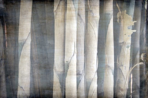 Bamboo Forest II - Tony Koukos