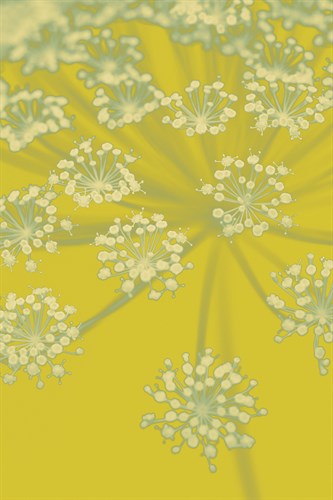Citron Florals - Ella Lancaster