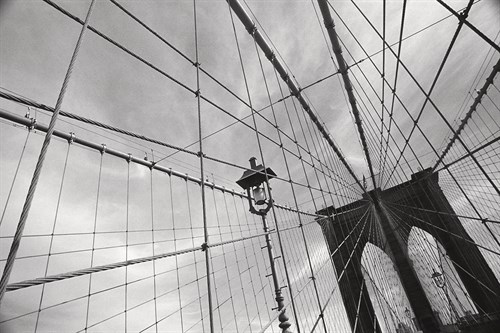 Looking Up - Tony Koukos