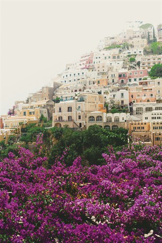 City Above Blossom - Florian Schleinig