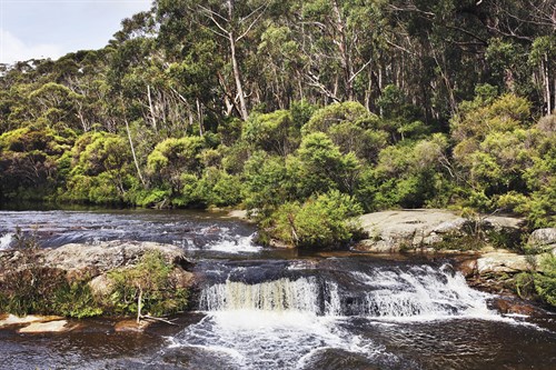 Powerful Nature - James Guilliam