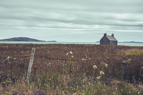 Peaceful Habitat - Matt Roseveare