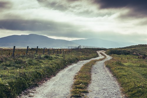 Countryside Ramble - Matt Roseveare