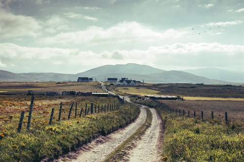 Countryside Pathway - Matt Roseveare