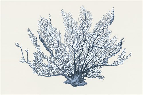 Ocean Sway - Hilary Armstrong