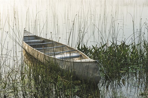 Calm Canoe - Mike Toy