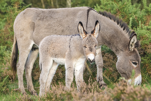 Big and Small - Matt Roseveare