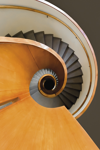 Stairway Swirl - Ash Camas