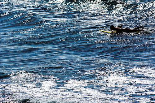 Surfboarder - Tal Paz-Fridman