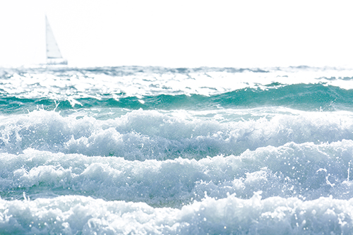 The Frenzied Surf - Tal Paz-Fridman
