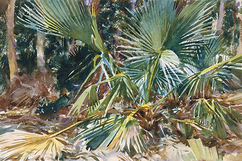 Palmettos - John Singer Sargent
