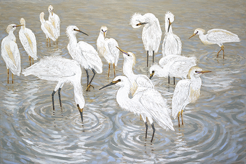 Herons and Egrets - Hilary Armstrong