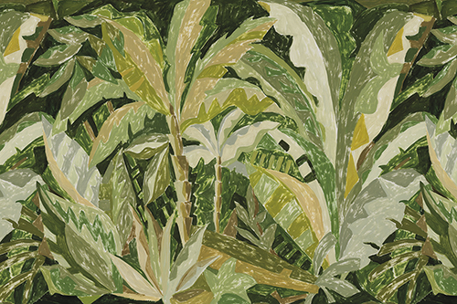 Fern Field - Stefan Jans