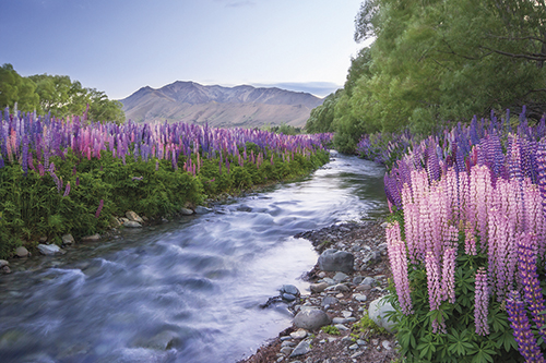 Flowing Waters - Chris  Gin