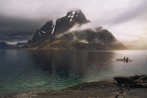 Misty Summit - Andreas Stridsberg