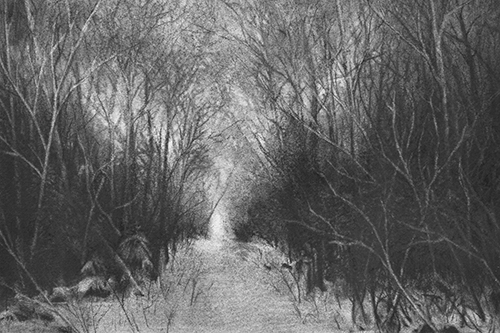 Parc Pierre Fournelle II - Tiffany  Moore