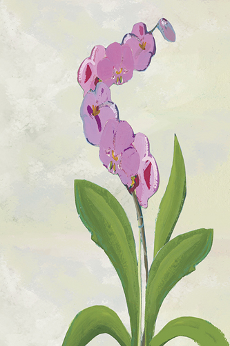 Orchid Blossom - Stem - Kay Widdowson