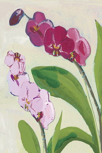 Orchid Blossom - Spray - Kay Widdowson