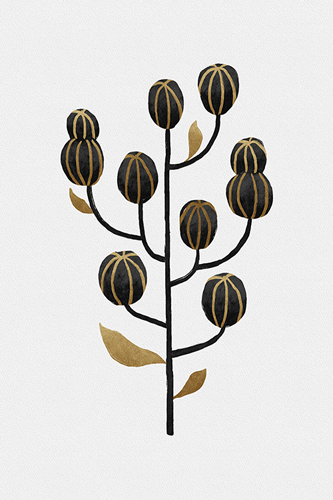 Floral Form - Shine - Dana Shek