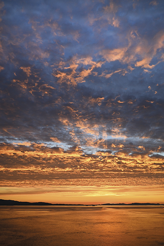 Sunset View - Laura Warren