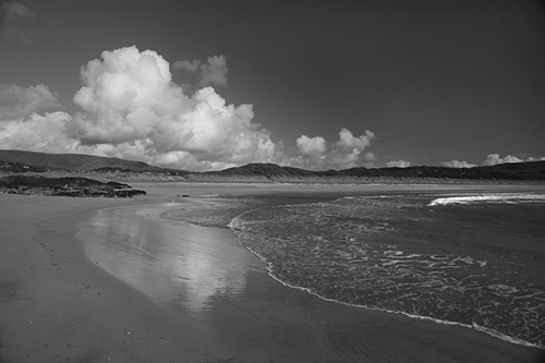 Surf Sanctuary - Bill Philip