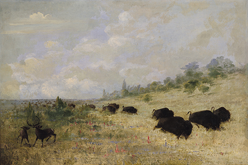 Elk and Buffalo Grazing among Prairie Flowers, Texas - George Catlin