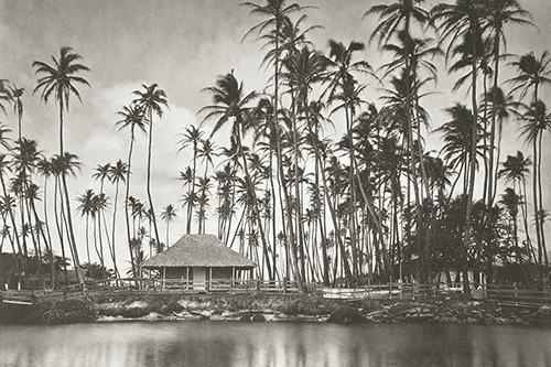 Hawaiian Shore - The Vintage Collection