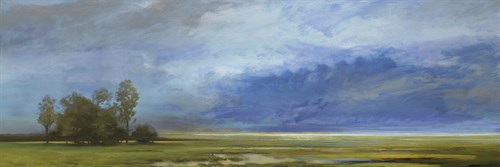 Roaming Skies - Mark Chandon