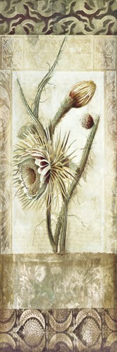 Fiorindo Vita II - Douglas