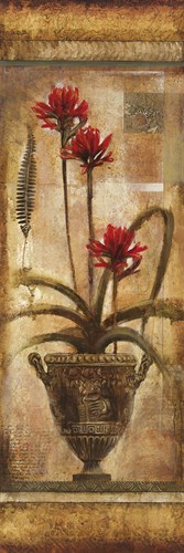 Rojo Botanical VII - Douglas