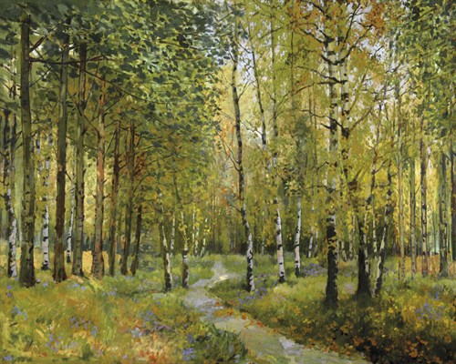 Into the Woods - Mark Chandon