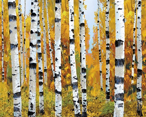 Vail - Mark Chandon