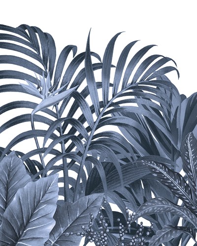 Tropical Blue - Breeze - Thomas  Hazlehurst
